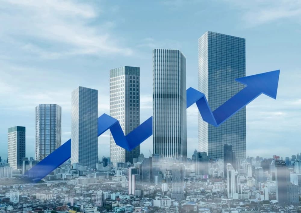 Free zone company formation across UAE — DMCC, IFZA, RAKEZ, JAFZA